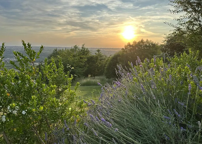Ali E Radici Vacanze Piemonte *